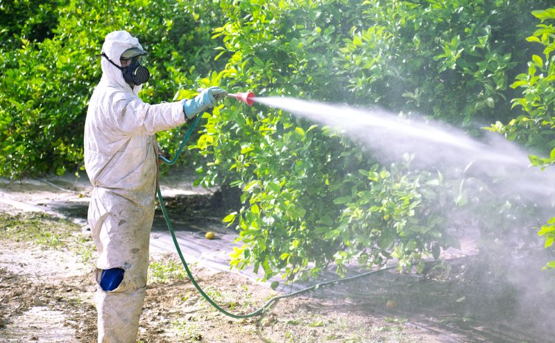 Commercial Fumigation in West Palm Beach, FL