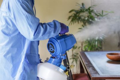 Fumigation Service in Lafayette, LA