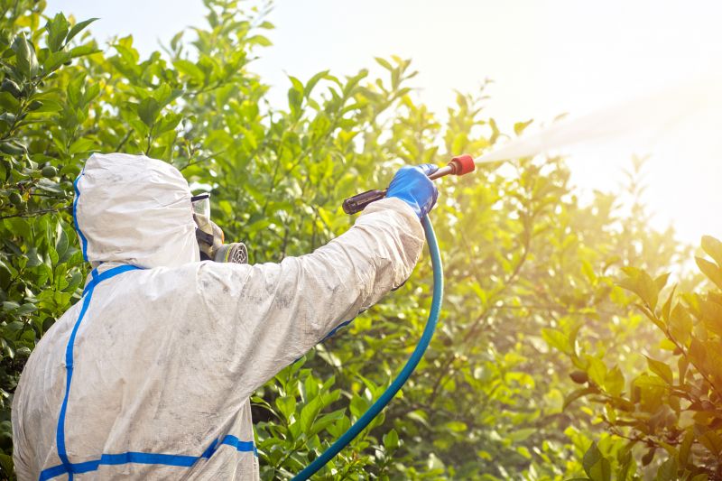 Pest Fumigation Service in Cumming, GA