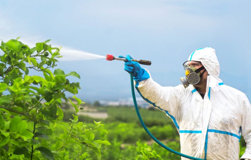 Fumigation Service in Gwinnett County, GA