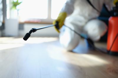 Pest Fumigation Service in Madison, WI
