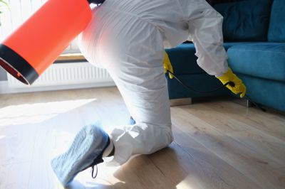 Pest Fumigation Service in Lafayette, LA