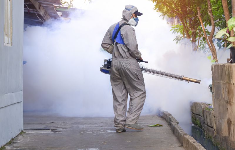 Signs You Need Fly Or Mosquito Control Services
