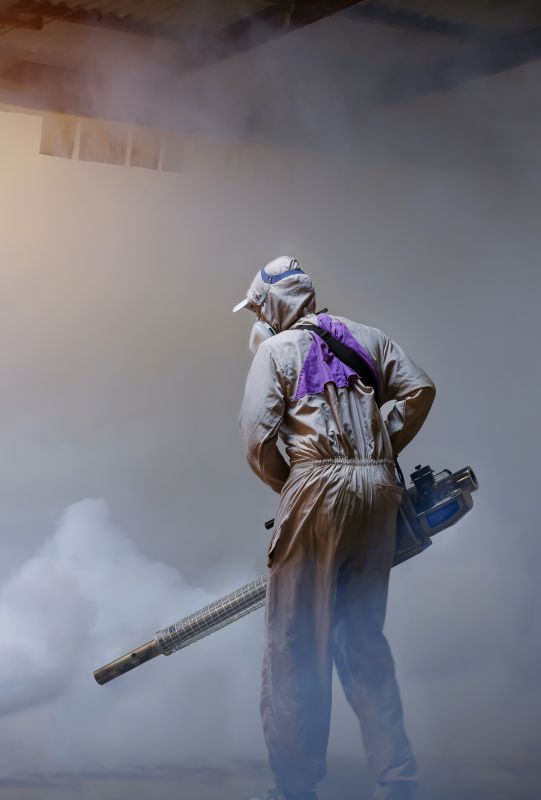 Spider Fumigation Service in Kalamazoo, MI
