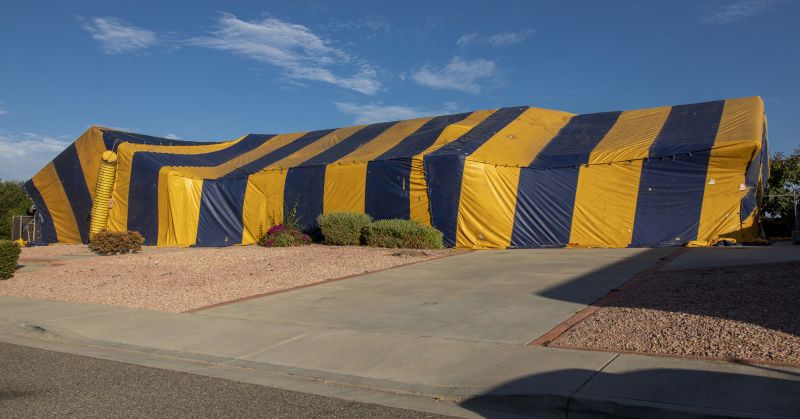 Tent Fumigation in Wilmington, NC