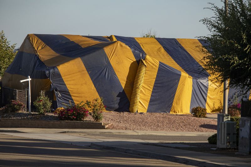 Termite Tenting in San Jose, CA